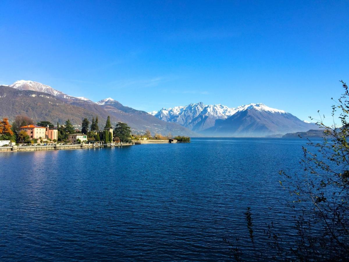 Abies Lago Di Como Dongo Exterior foto