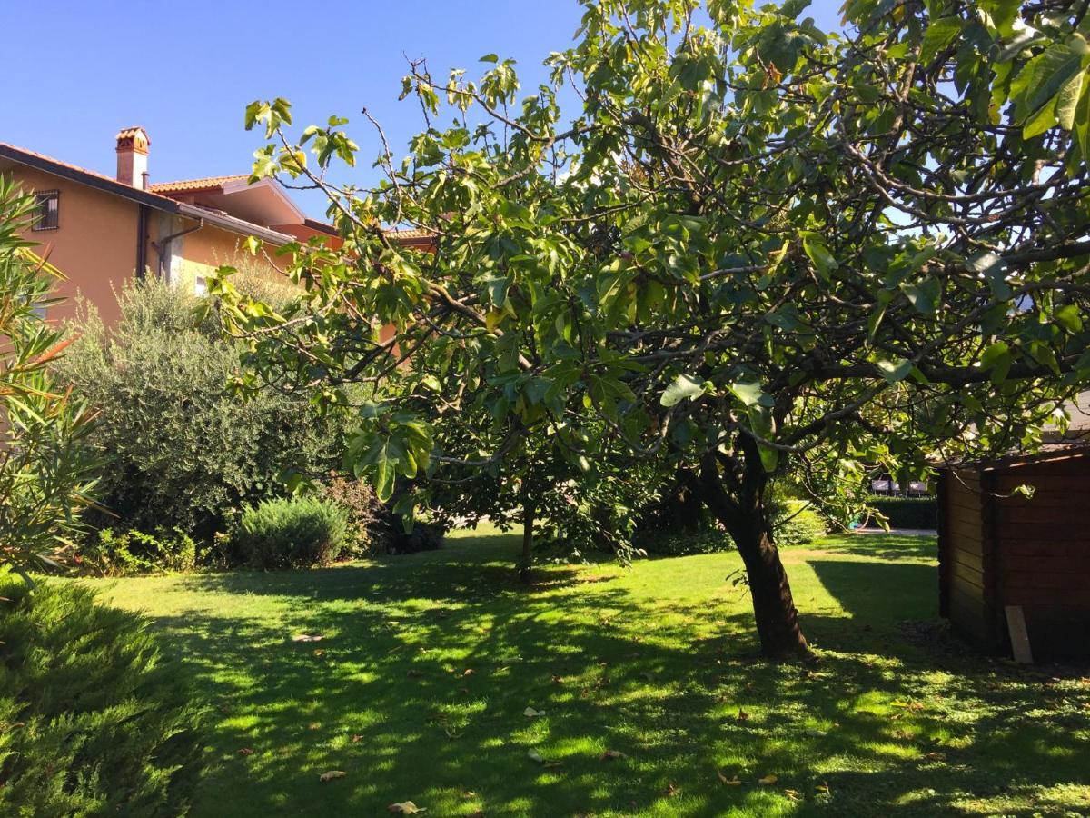Abies Lago Di Como Dongo Exterior foto