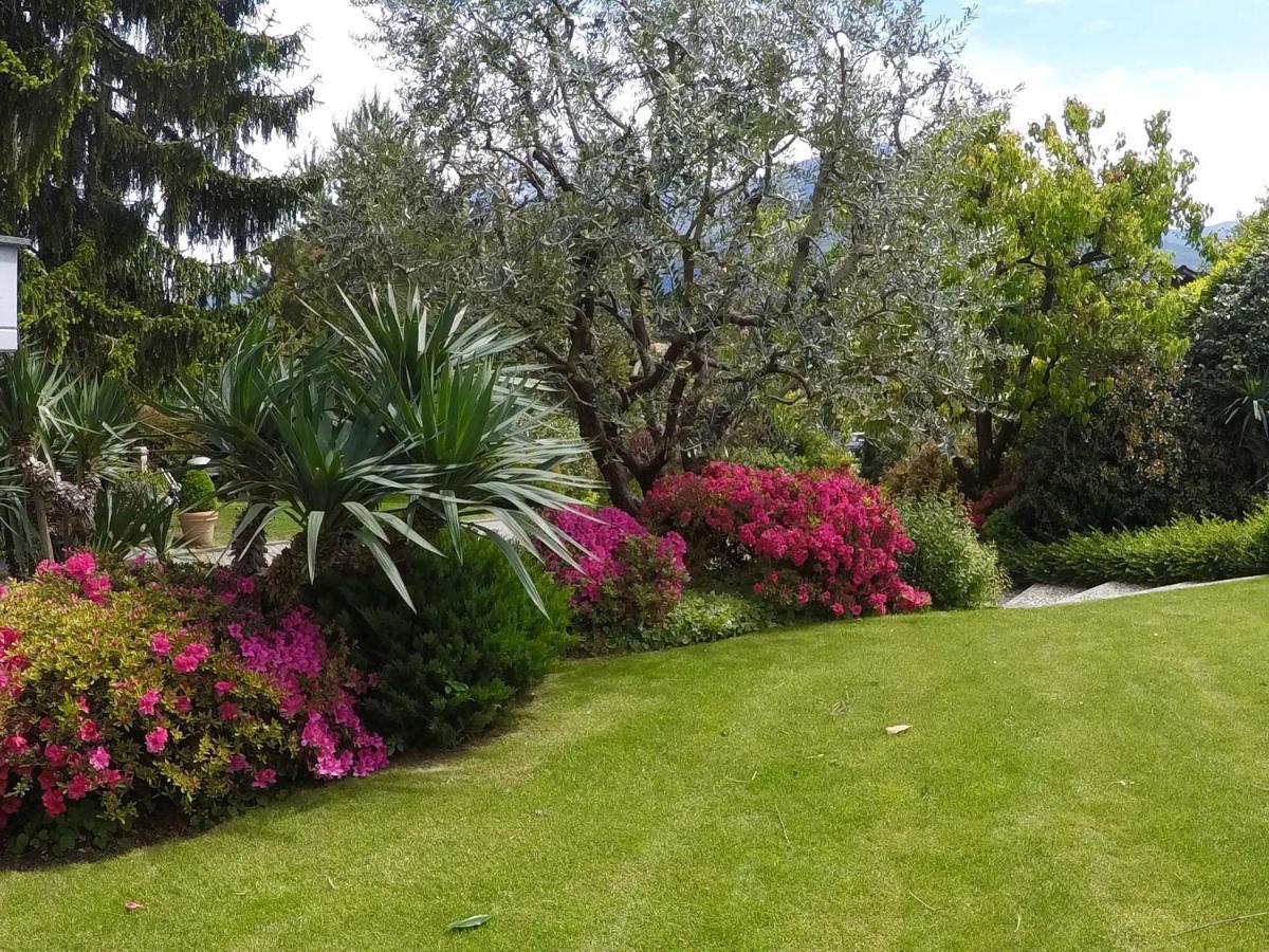 Abies Lago Di Como Dongo Exterior foto