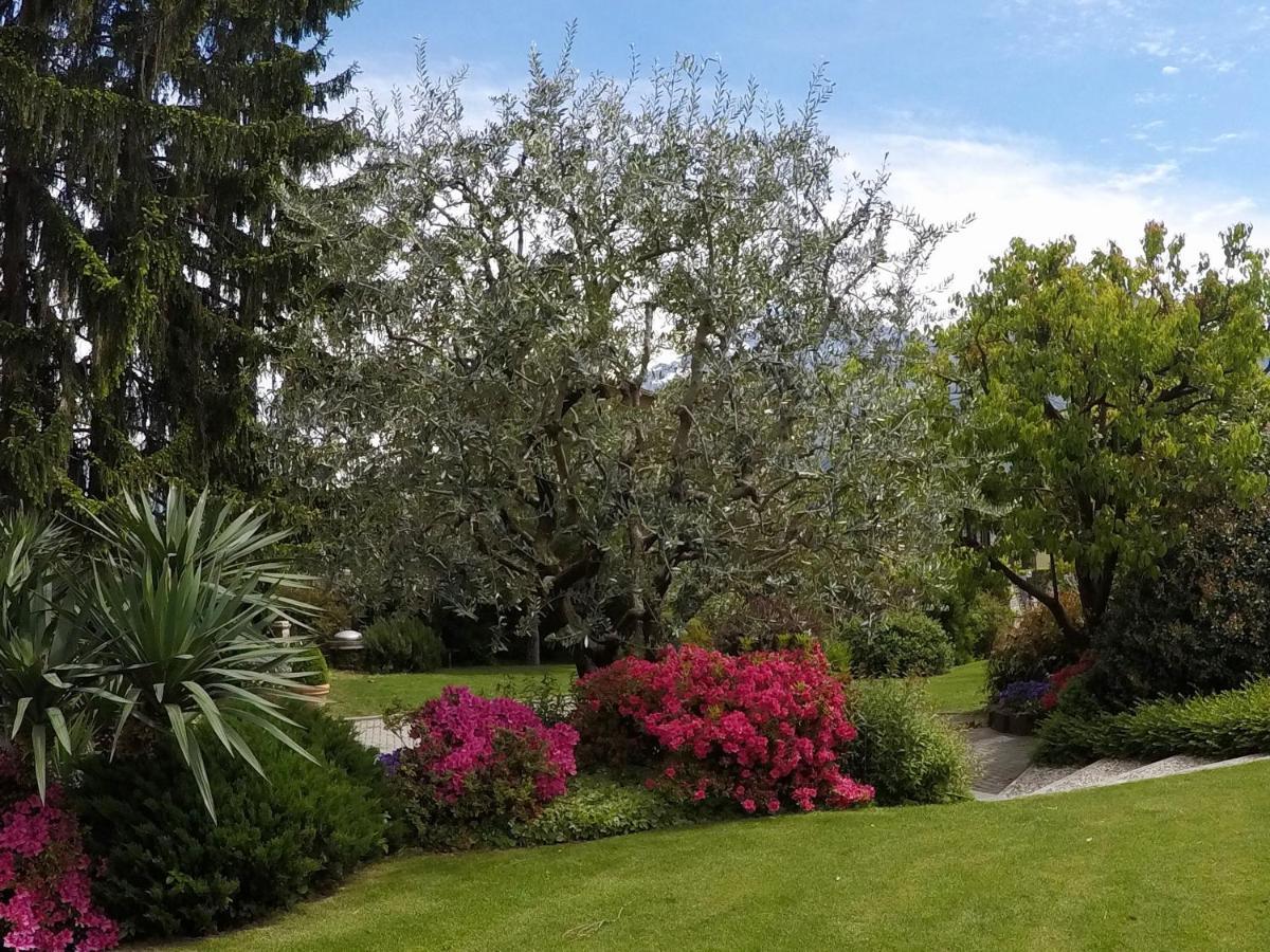 Abies Lago Di Como Dongo Exterior foto
